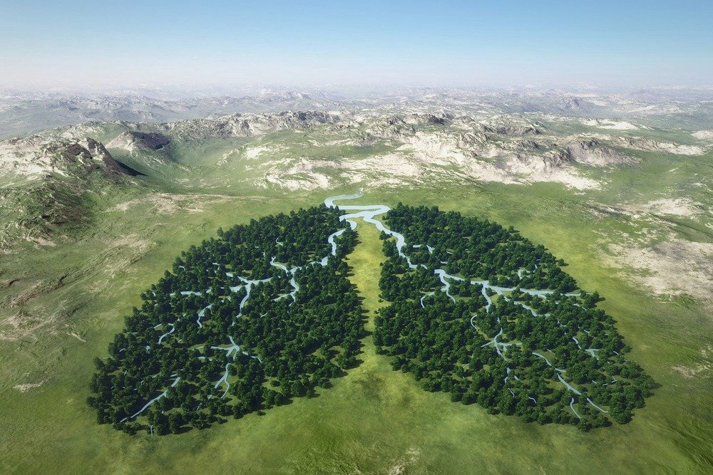 Минсельхоз планирует развивать в Кыргызстане карбоновые фермы