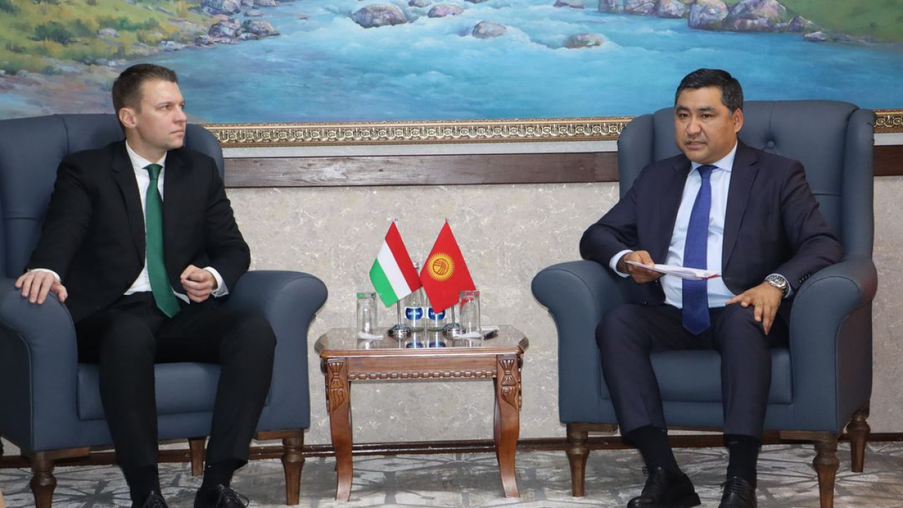 Кыргызстан и Венгрия обсудили не открытый авиарейс "Бишкек — Будапешт" и низкий уровень товарооборота