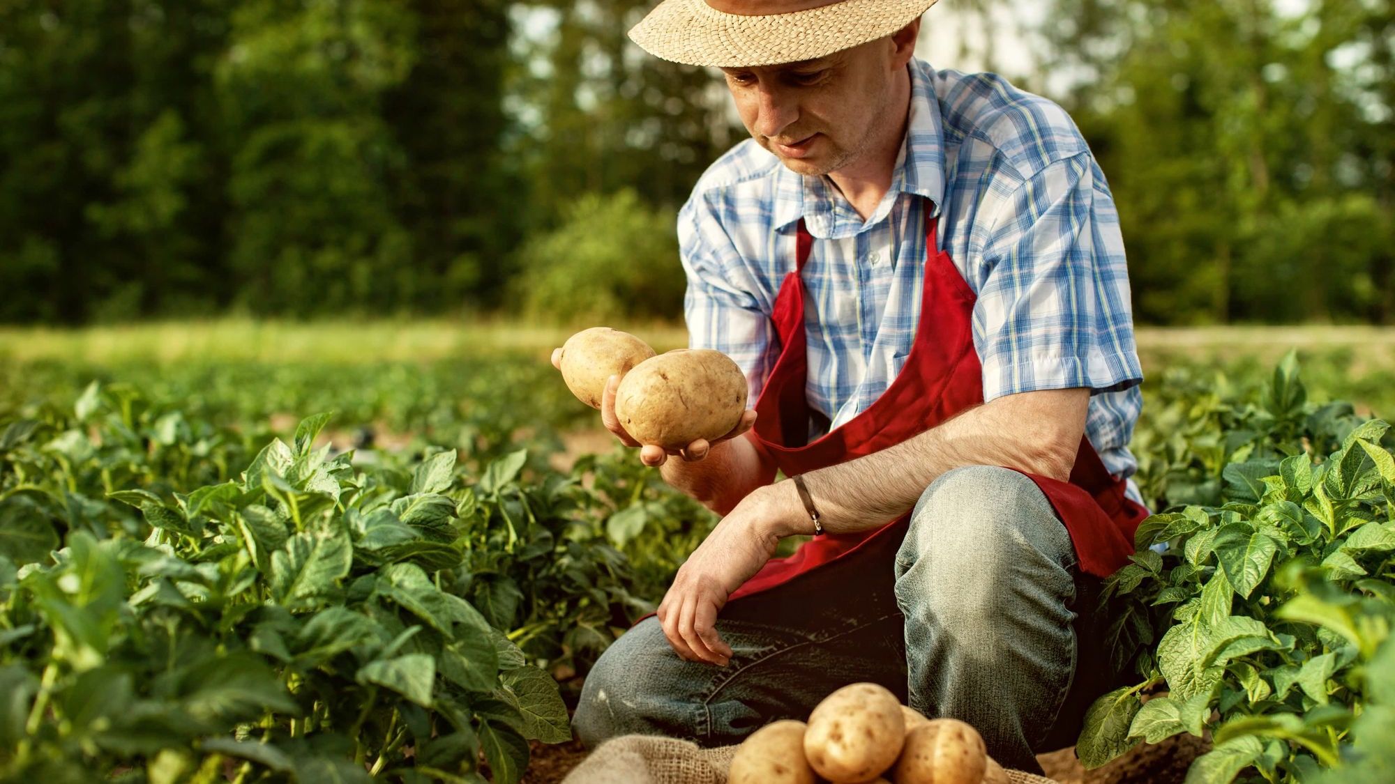 Фермерам Кыргызстана выдали 3.3 млрд сомов в виде кредитов