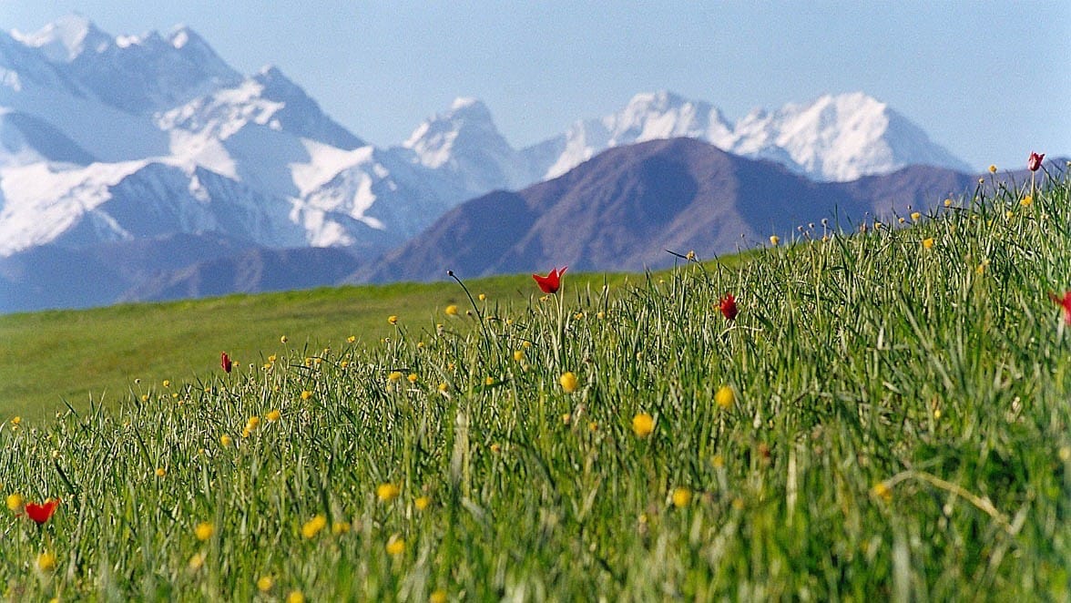 Пострадавшим Баткенской и Ошской области повысили пособие до 5.5 тысяч сомов