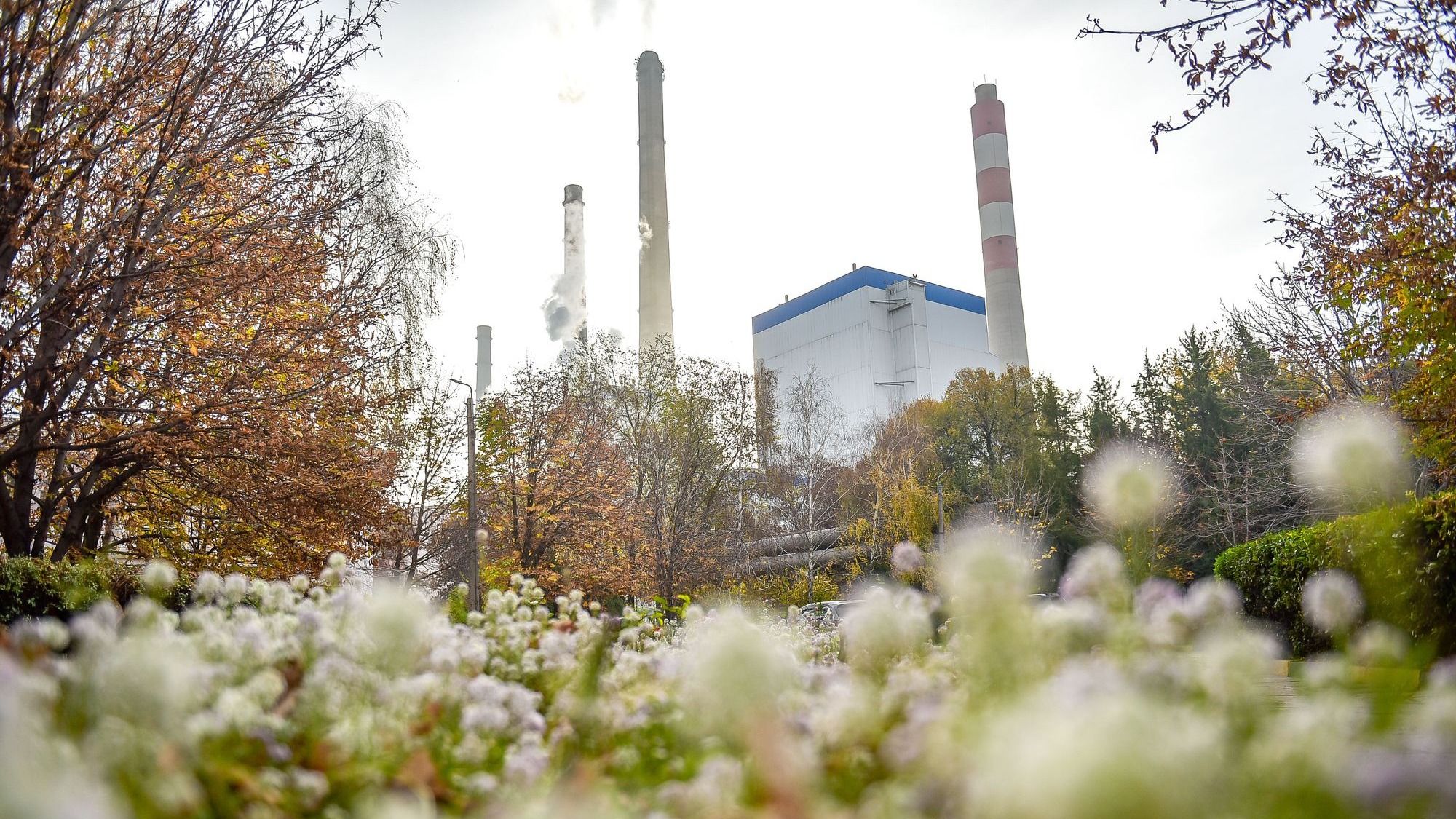 До конца ноября будет теплая погода, надо еще раз все проверить - Акылбек Жапаров о подготовке ТЭЦ Бишкека к зиме