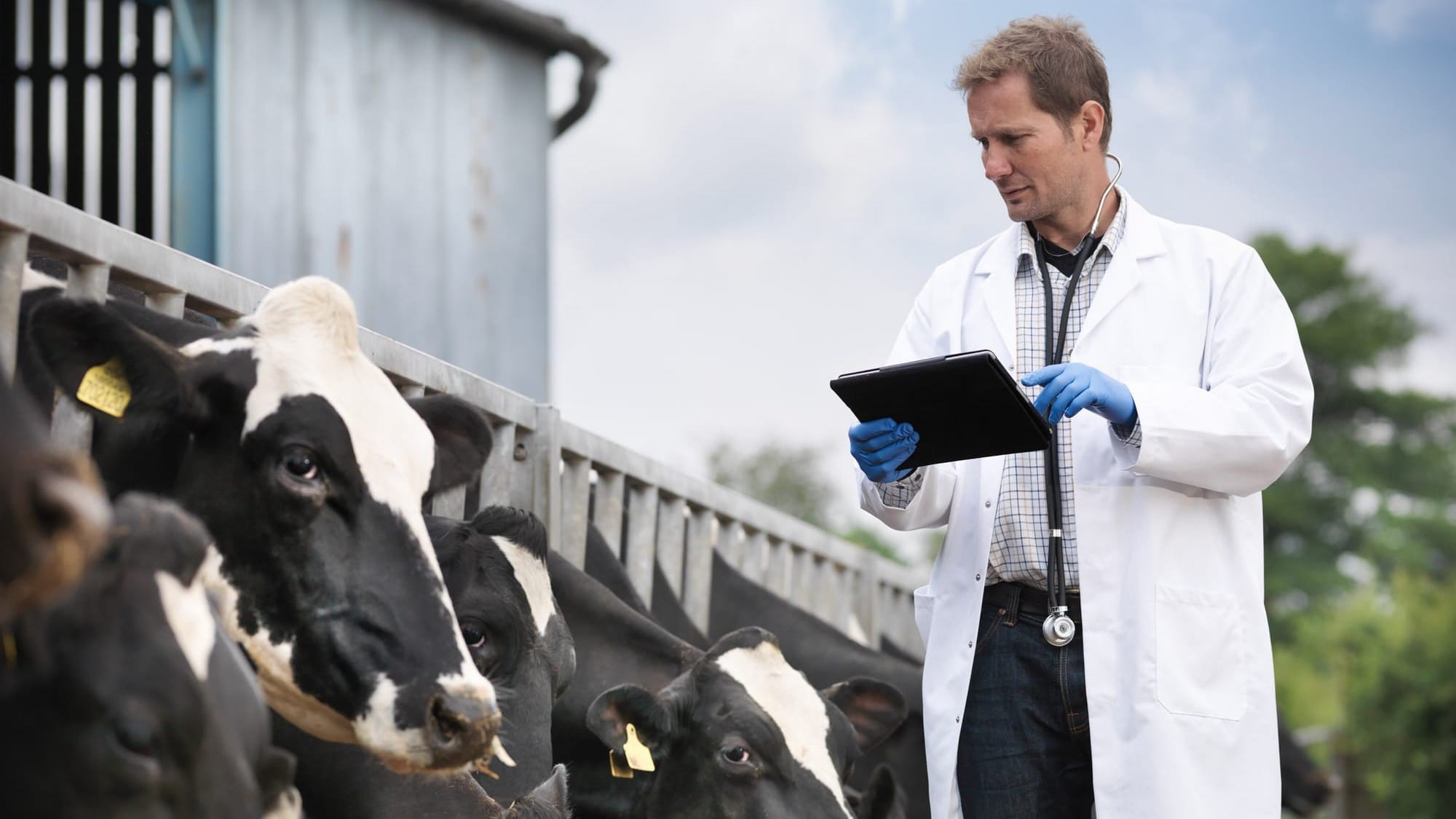 В 2025 году в Кыргызстане  проведут сельхозперепись