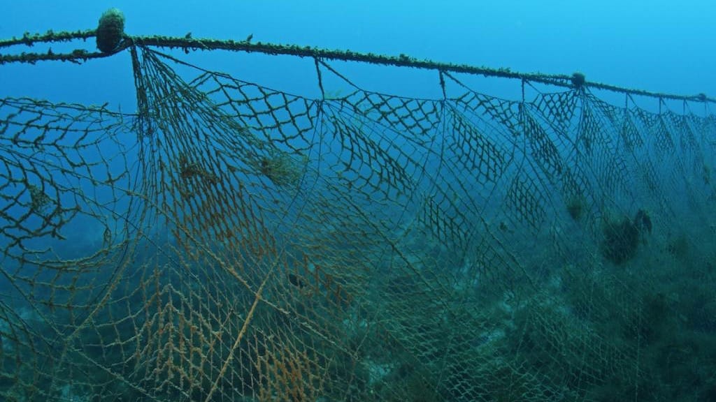 Кабмин запретил ввоз рыболовных сетей в Кыргызстан