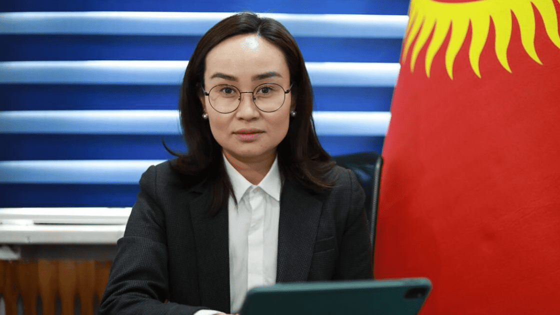 Власти КР одобрили инвестиционную визу 11 компаниям – для чего она нужна?