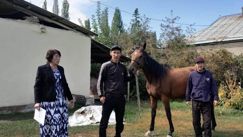 Кабмин в 2024 году потратит на соцконтракты 2 млрд сомов