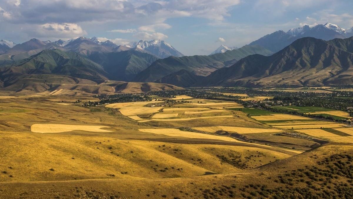 Кабмин выделил землю под строительство швейной фабрики