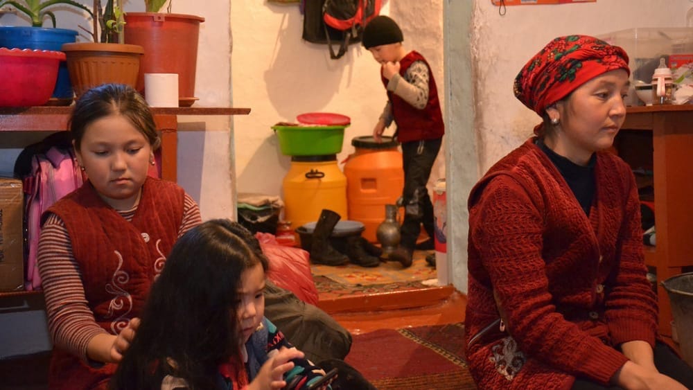 Участники соцконтракта в сфере животноводства должны вступить в объединения – Минсоцтруда