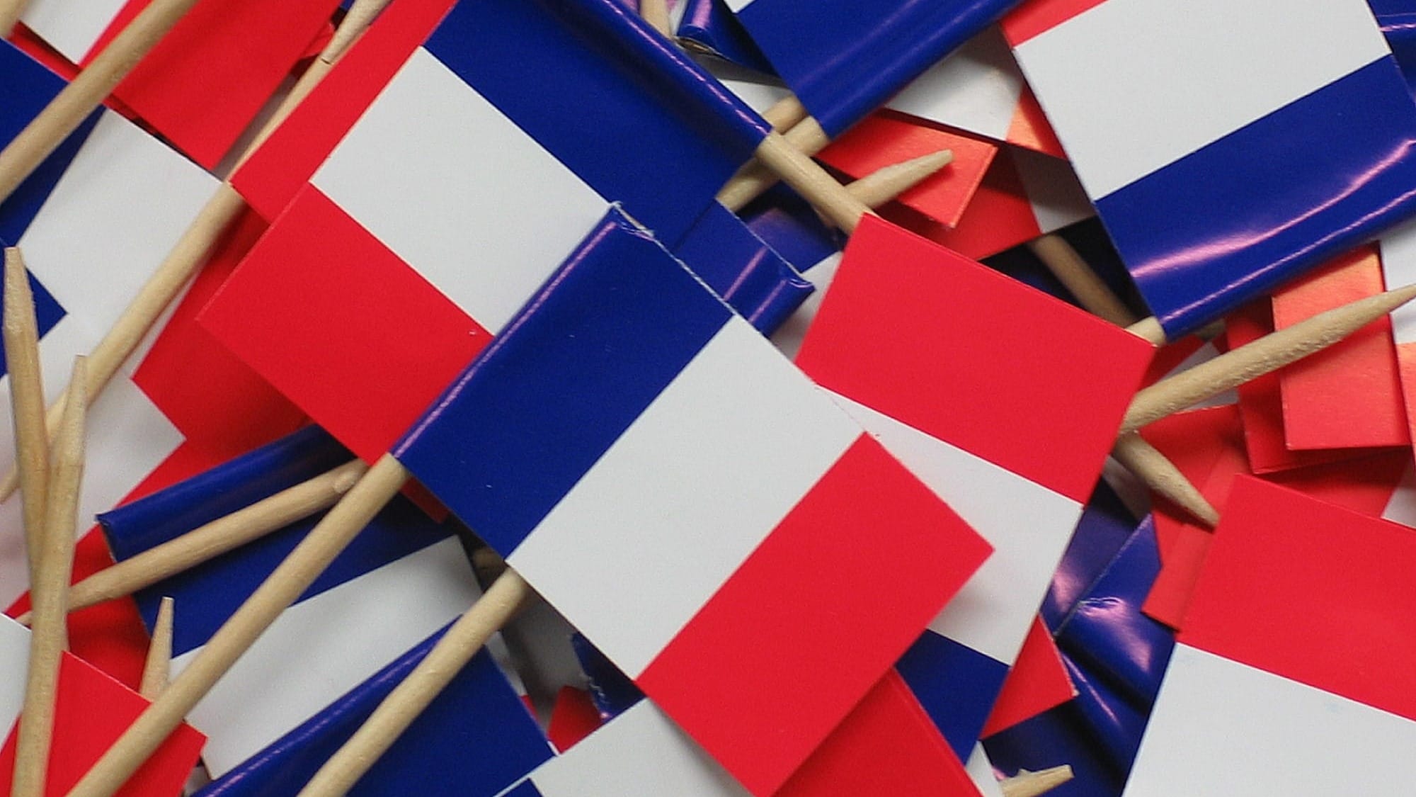 В Бишкеке пройдет Кыргызско-французский бизнес-форум