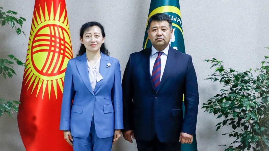 Таможенные органы КР и СУАР обсудили модернизацию КПП «Торугарт» и «Иркештам»