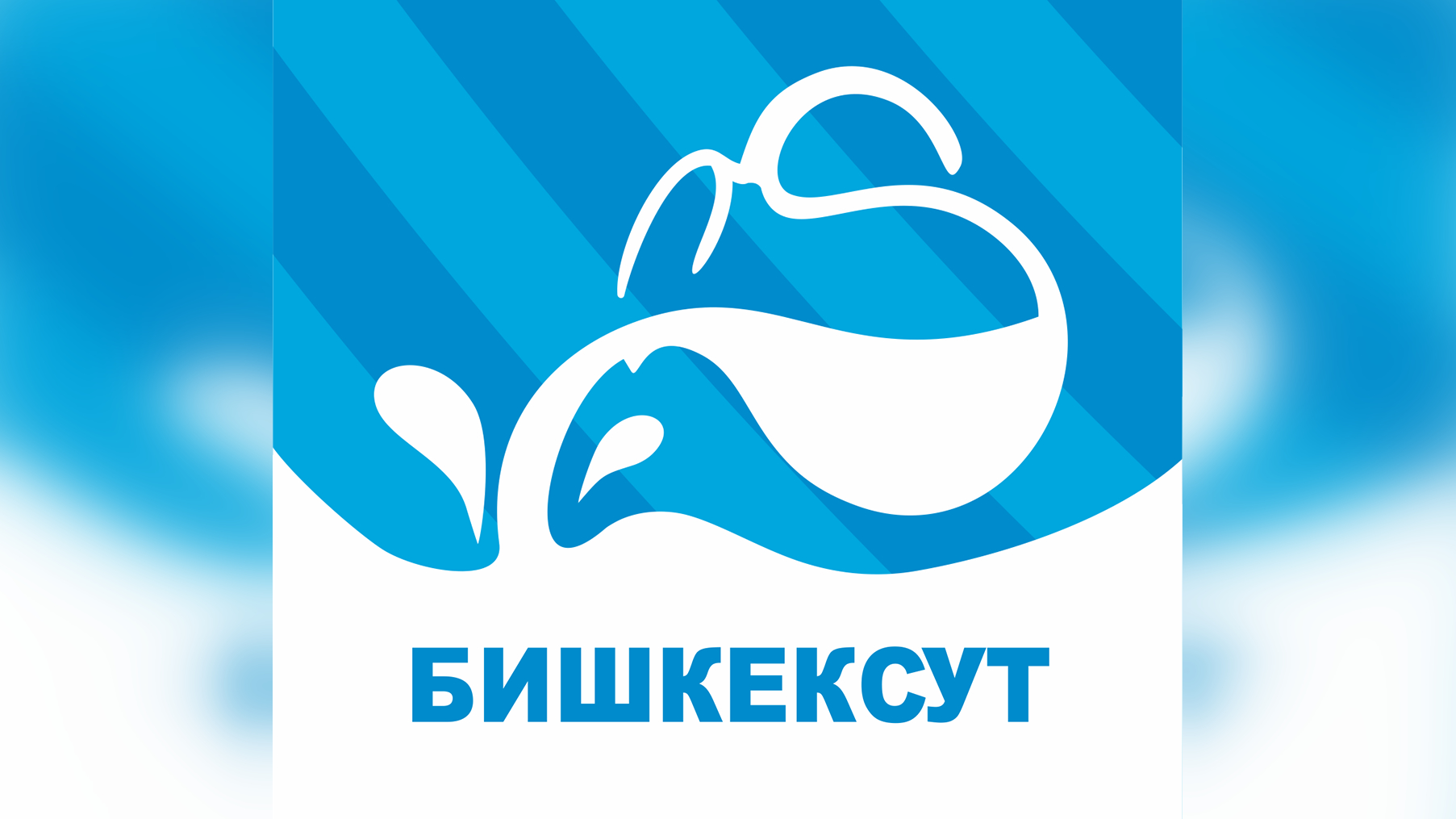 Чистая прибыль ОАО «Бишкексут» за 2023 год превысила 447 млн сомов