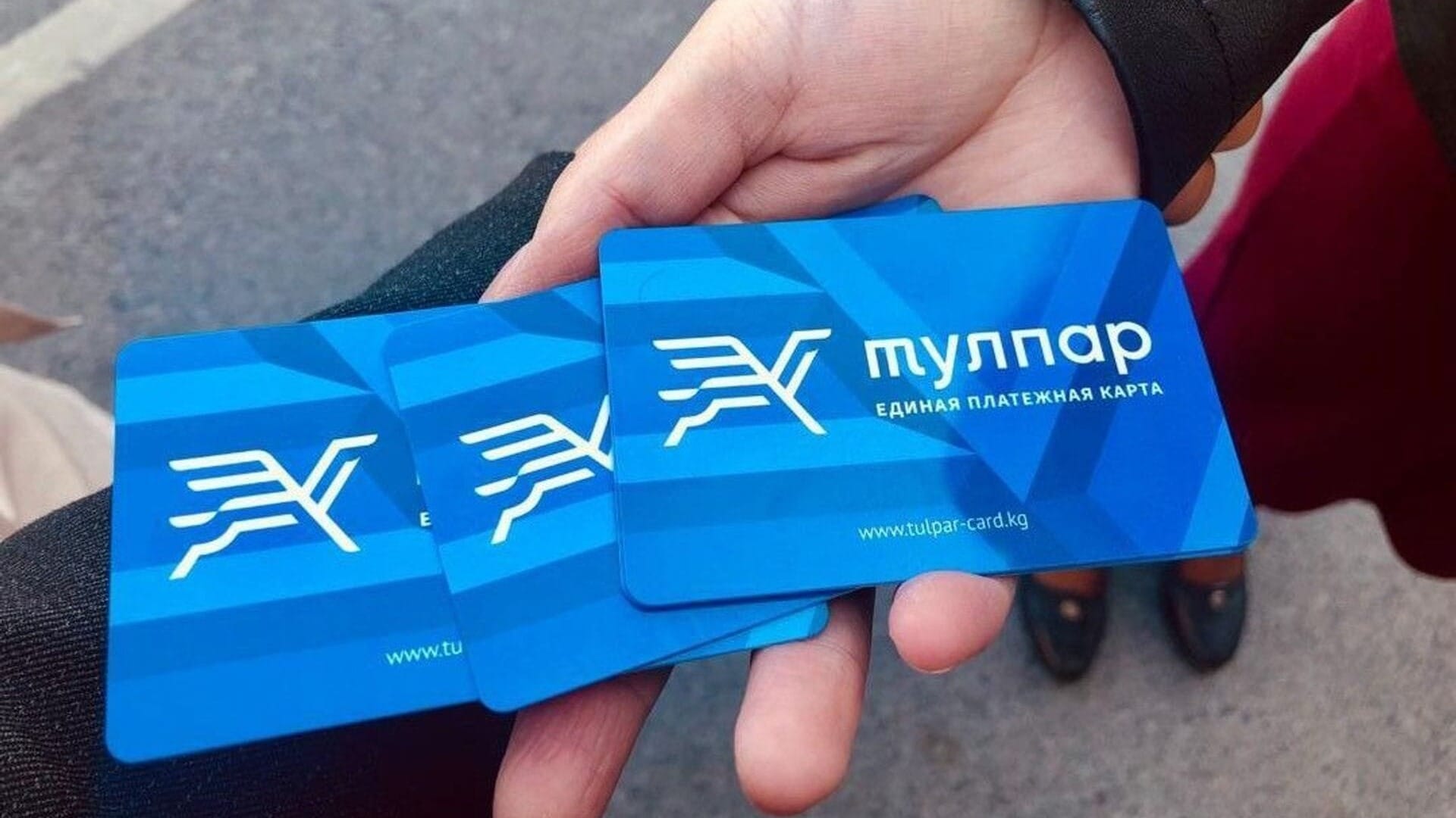 В Бишкеке хотят ввести проездные с временным промежутком на день, неделю и год