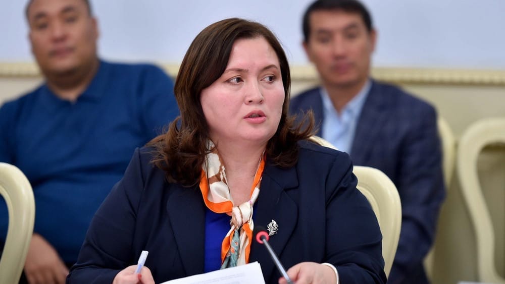 Комитет ЖК одобрил назначение Жылдыз Полотовой на должность министра труда