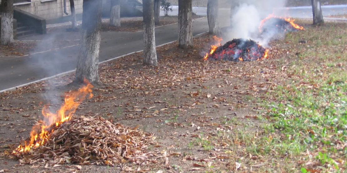 За сжигание листвы и мусора в Бишкеке выписали штрафы на 2 млн сомов