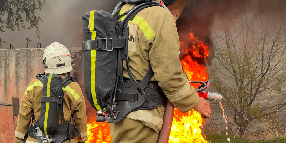 В бишкекском зоопарке произошел пожар – погибли животные