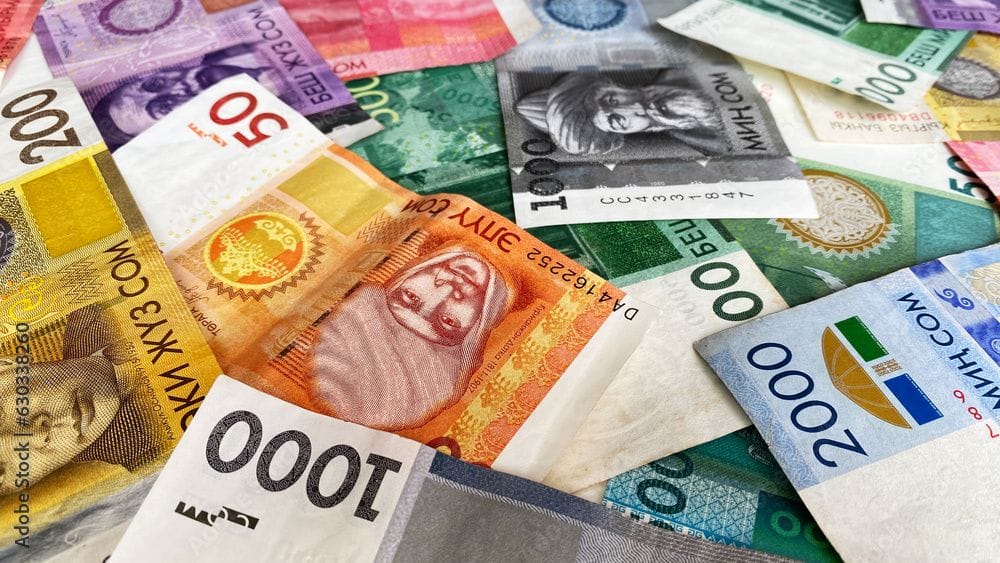 Жогорку Кенеш в двух чтениях принял закон о расчетах в сомах на территории КР