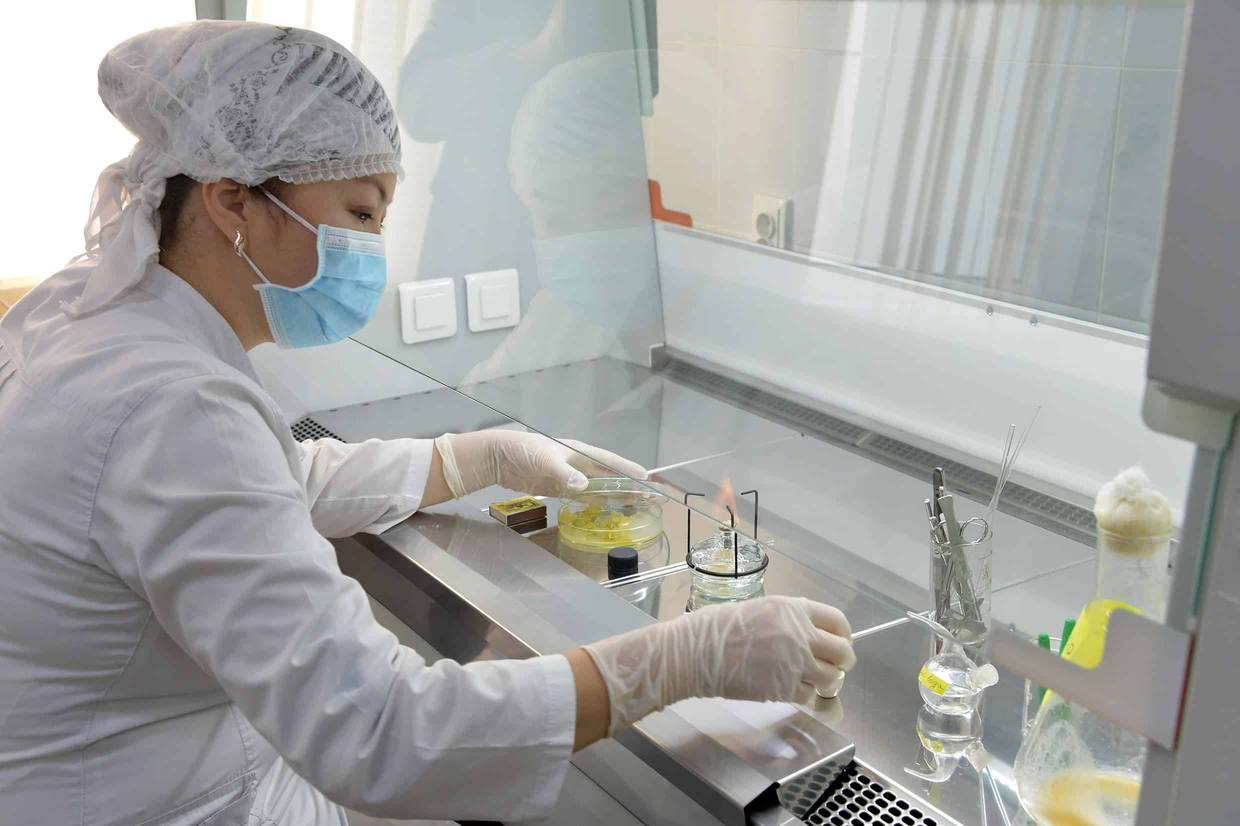 В Кыргызстане за 11 месяцев выявлено 15 видов карантинных вредных организмов