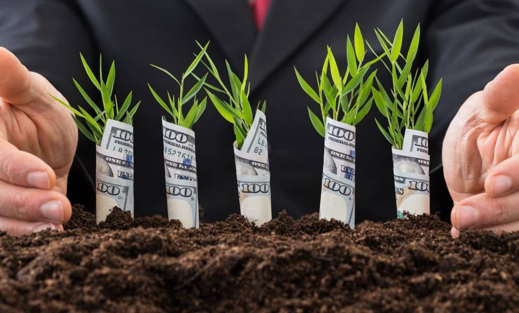 Сельскохозяйственное производство в КР выросло на 6.1% за январь–октябрь 2024 года — данные ЕЭК