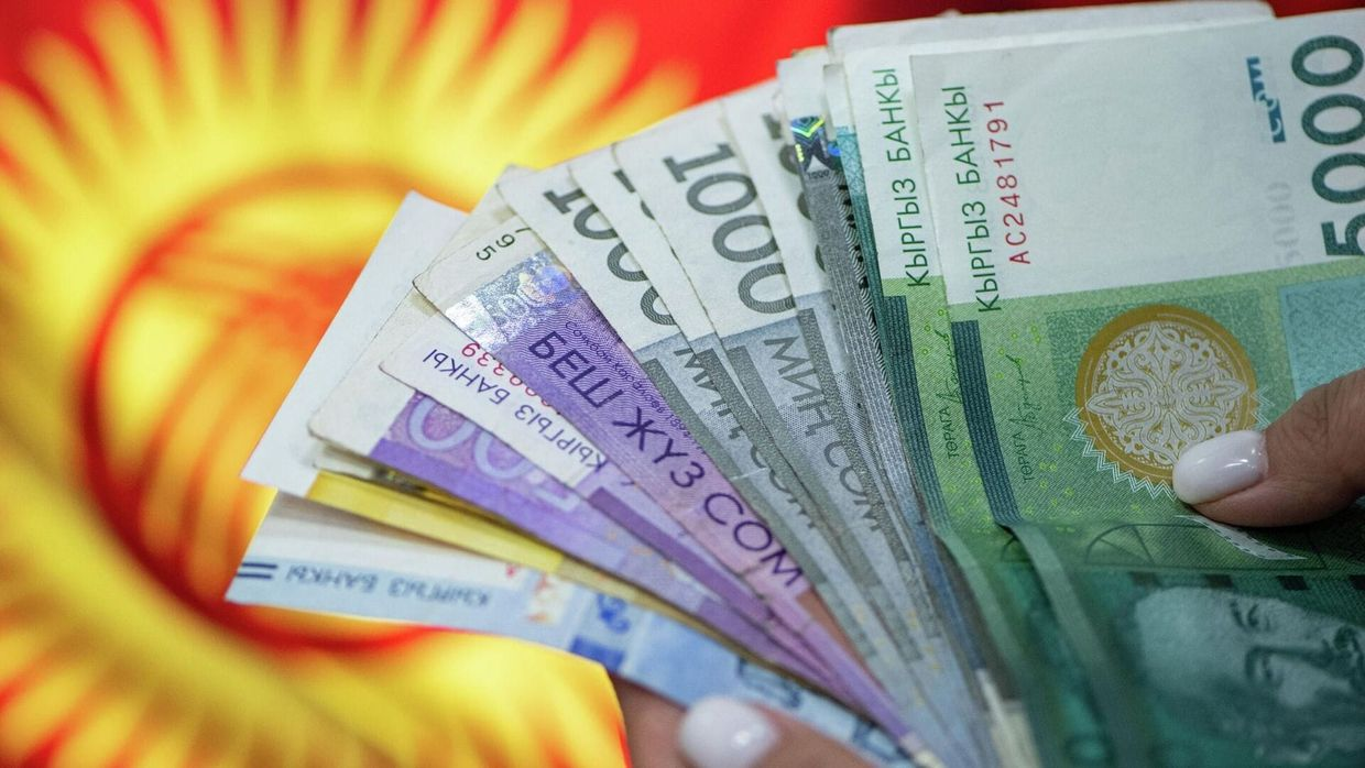 Сборы налогов и страховых взносов в Кыргызстане выросли на 44.5 млрд сомов – Налоговая служба