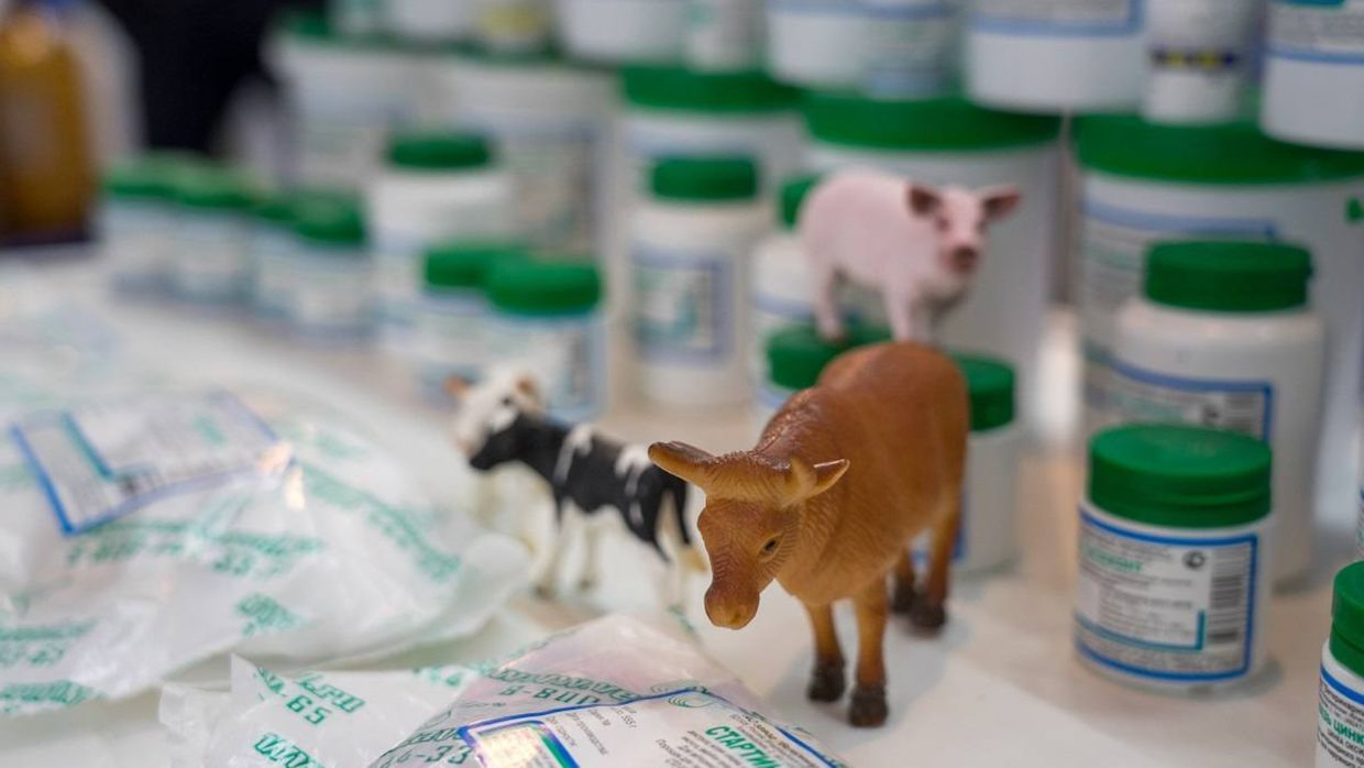 В КР с начала года сертифицировано 651 наименование ветеринарных препаратов