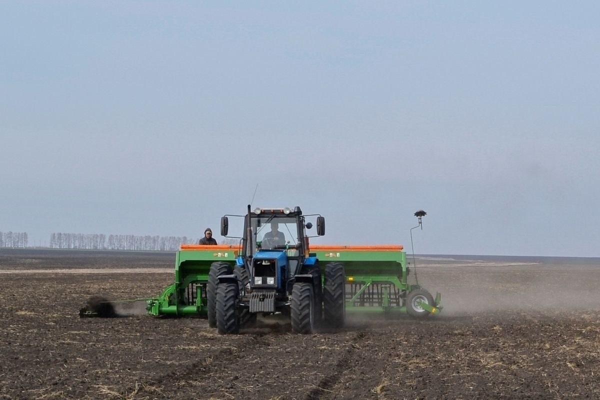 В текущем году в Баткене и Оше увеличили площади посева озимых зерновых