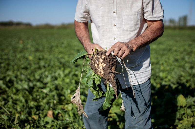 Более 11 тысяч фермеров получили льготные кредиты по проекту «Финансирование сельского хозяйства – 12»