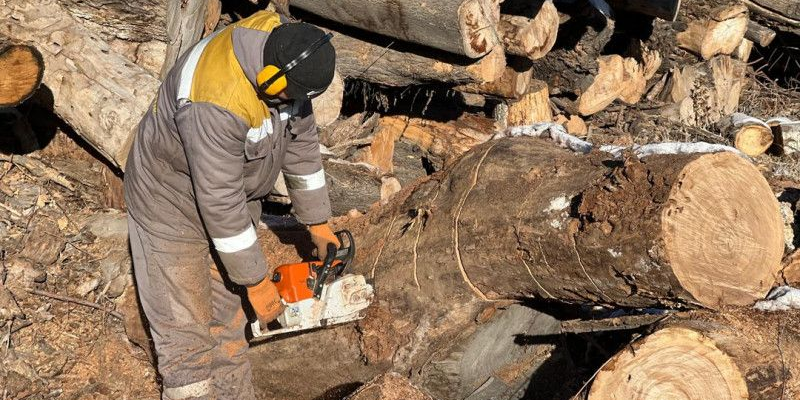 В Бишкеке малоимущим семьям предоставят дрова на зиму