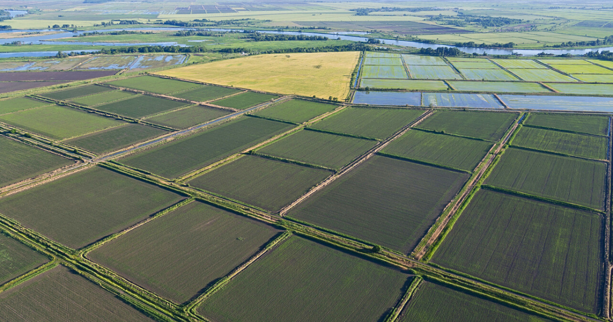 В КР хотят разрешить выделять орошаемые земли под строительство социальных объектов