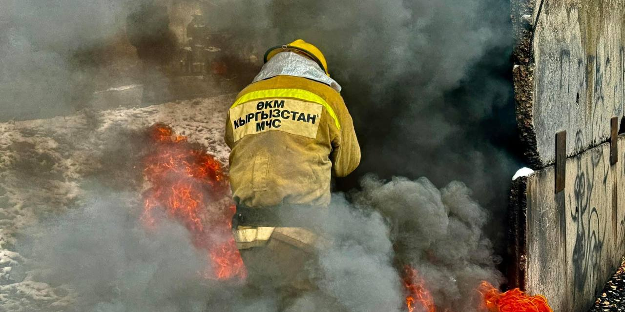 Ущерб от пожаров в Кыргызстане составил 688 млн сомов в текущем году