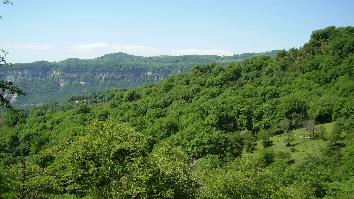 Минприроды объявило конкурс на охотничьи угодья в Джалал-Абаде