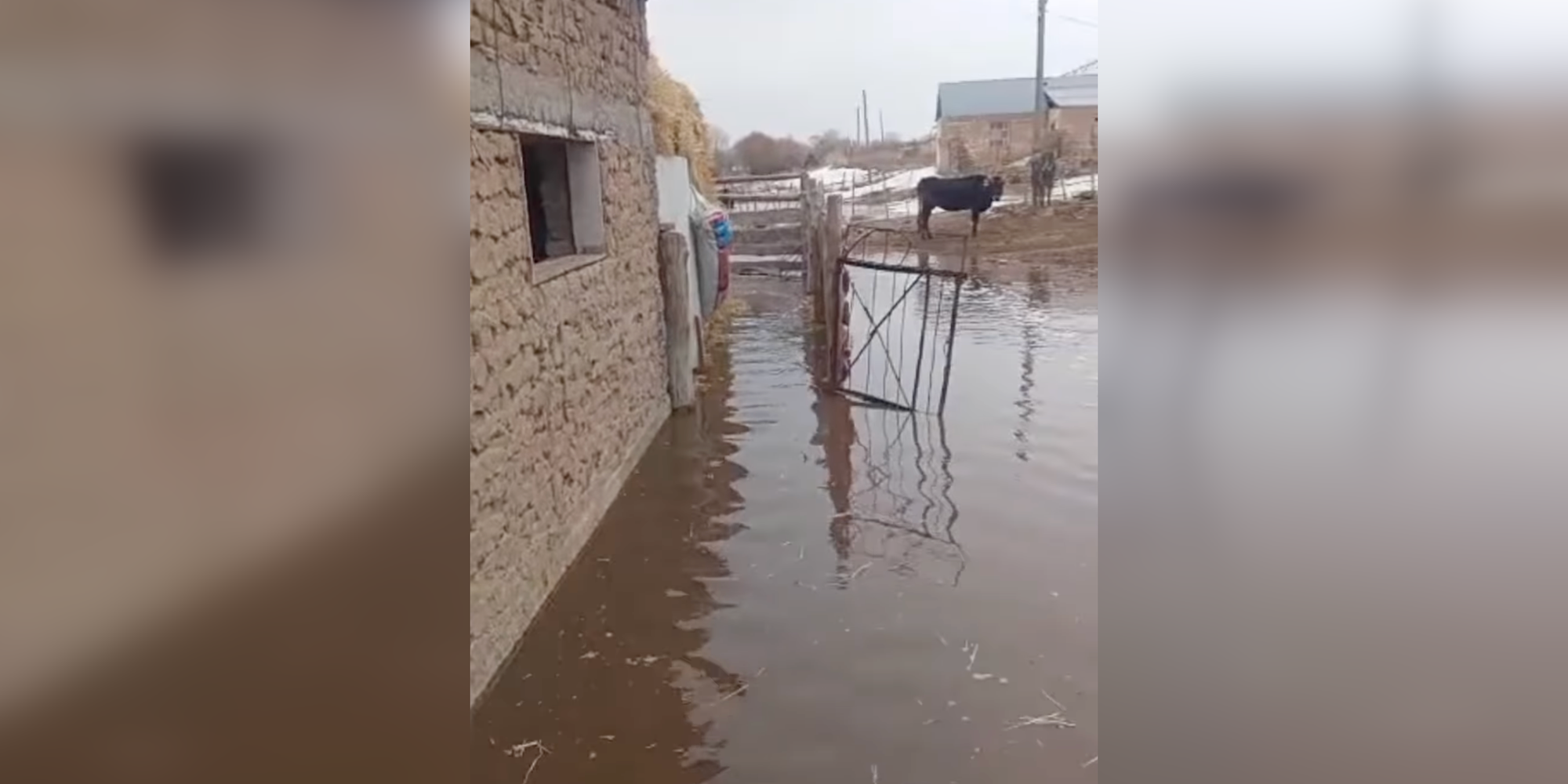 Таяние снега спровоцировало сель в Нарынской области – видео