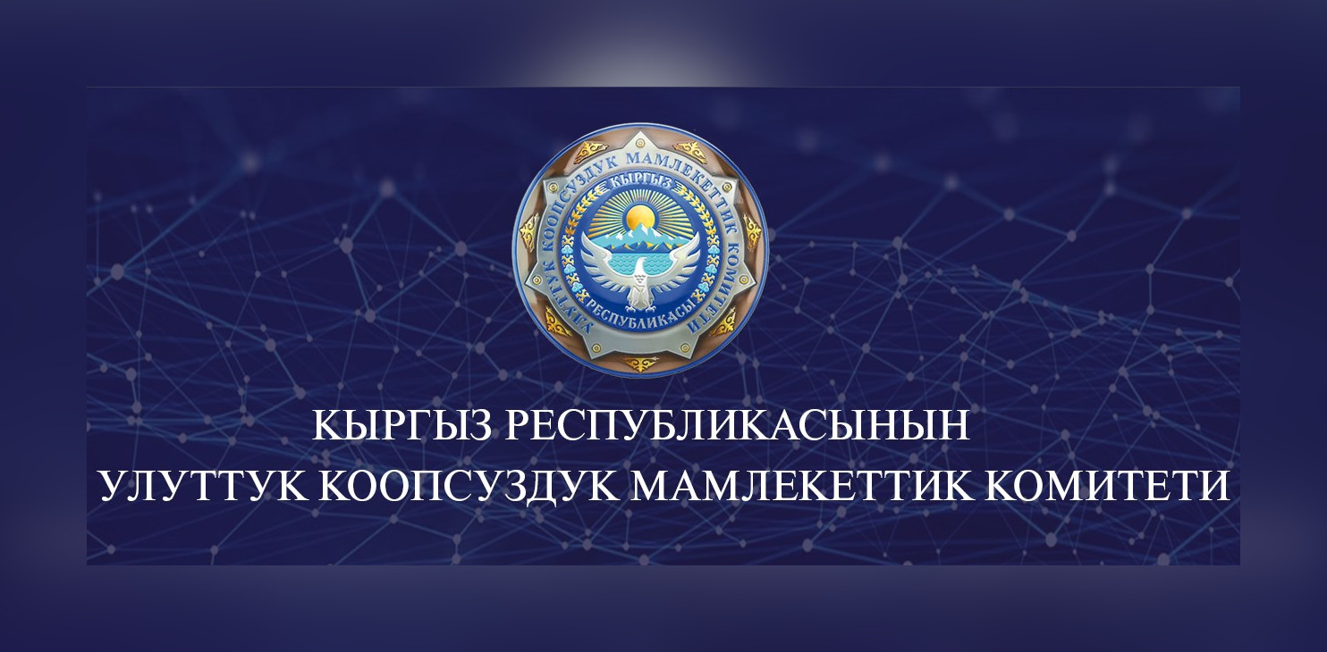 ГКНБ получит доступ к данным пассажиров — решение кабмина Кыргызстана