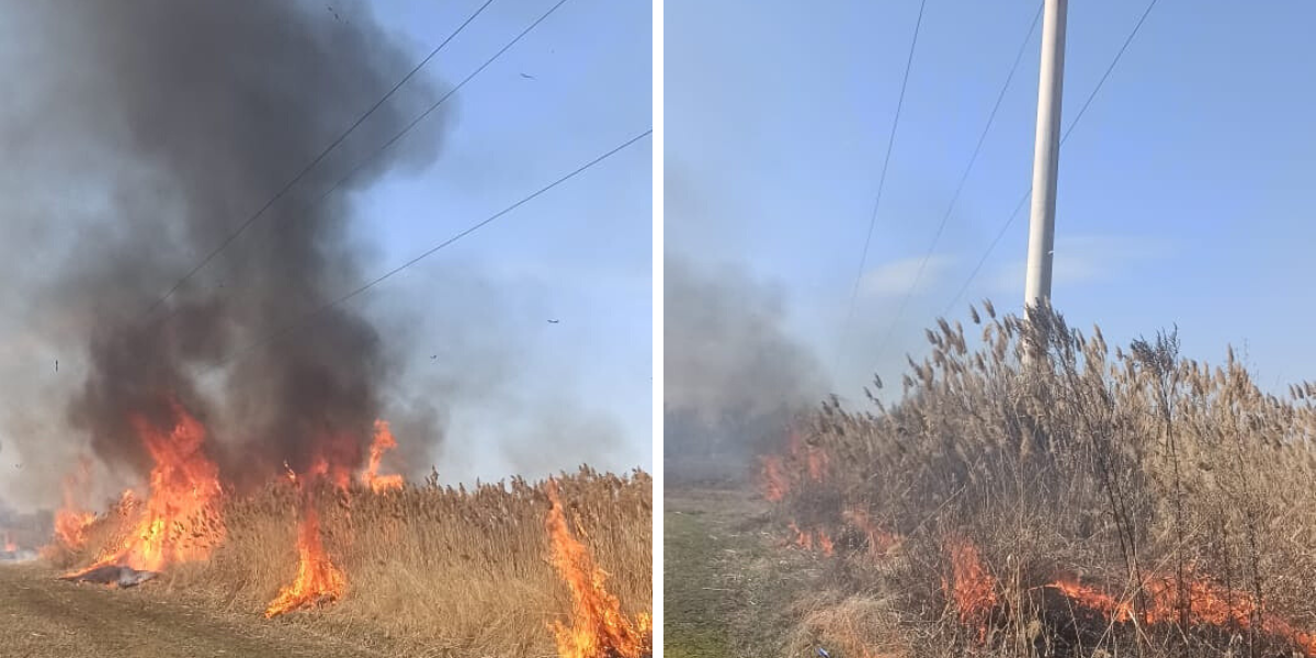 Энергетики предупреждают: сжигание сухостоя у ЛЭП может оставить районы без света