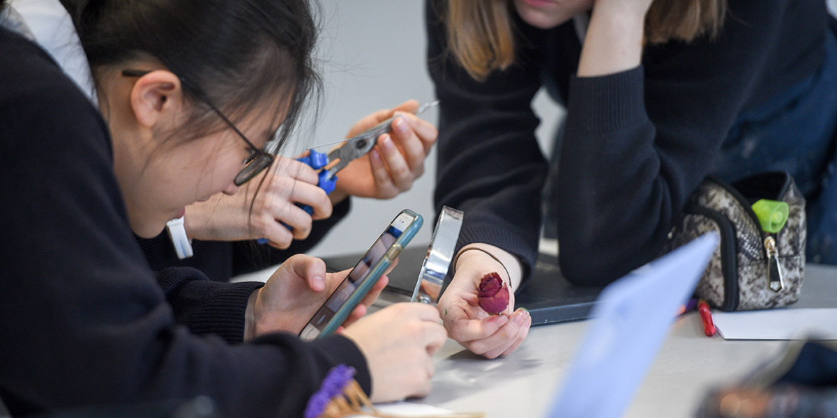 В КР хотят регулировать использование телефонов в школах – комитет ЖК одобрил закон в первом чтении