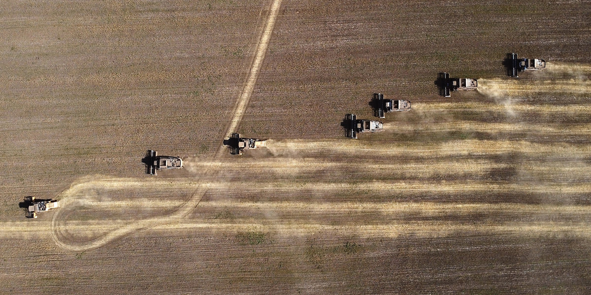 В Иссык-Кульской области создали новый семеноводческий кооператив