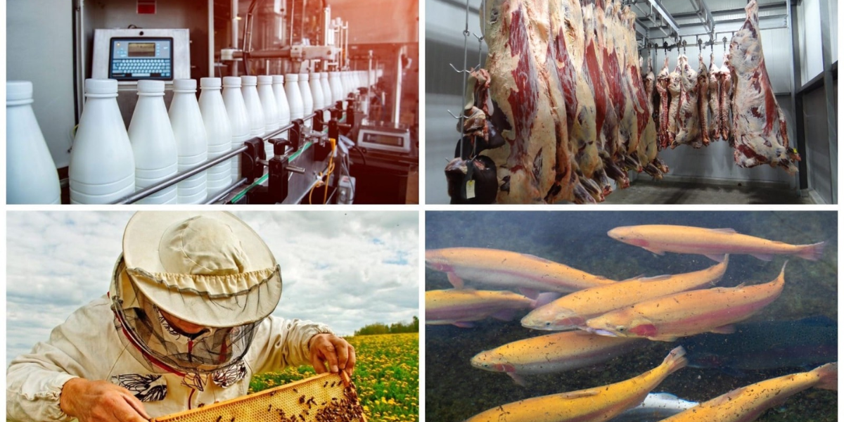 Что Кыргызстан производит и перерабатывает для рынка ЕАЭС – список