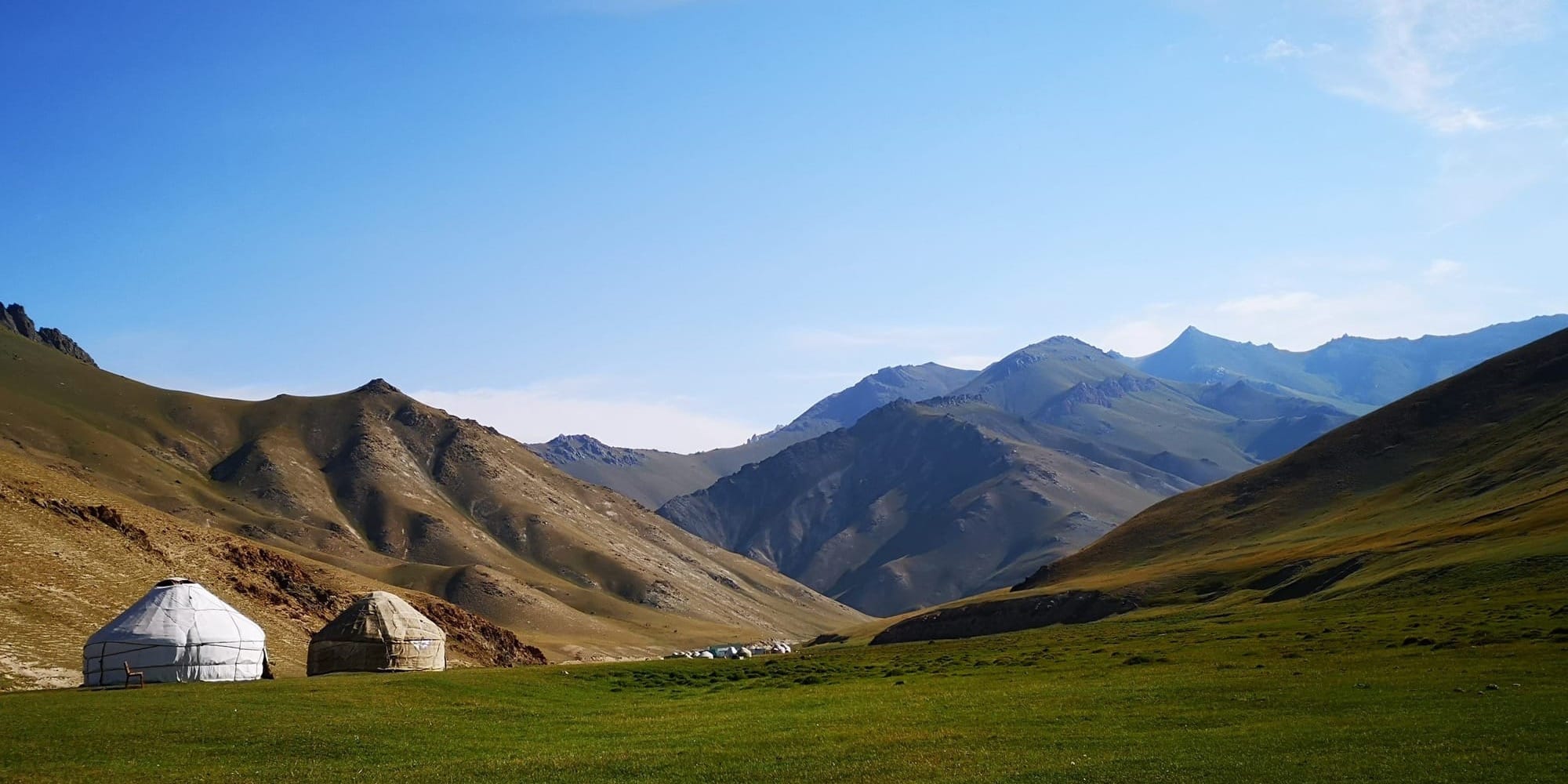 В Кара-Суйском районе незаконно передали 6 га пастбищ — землю вернули государству