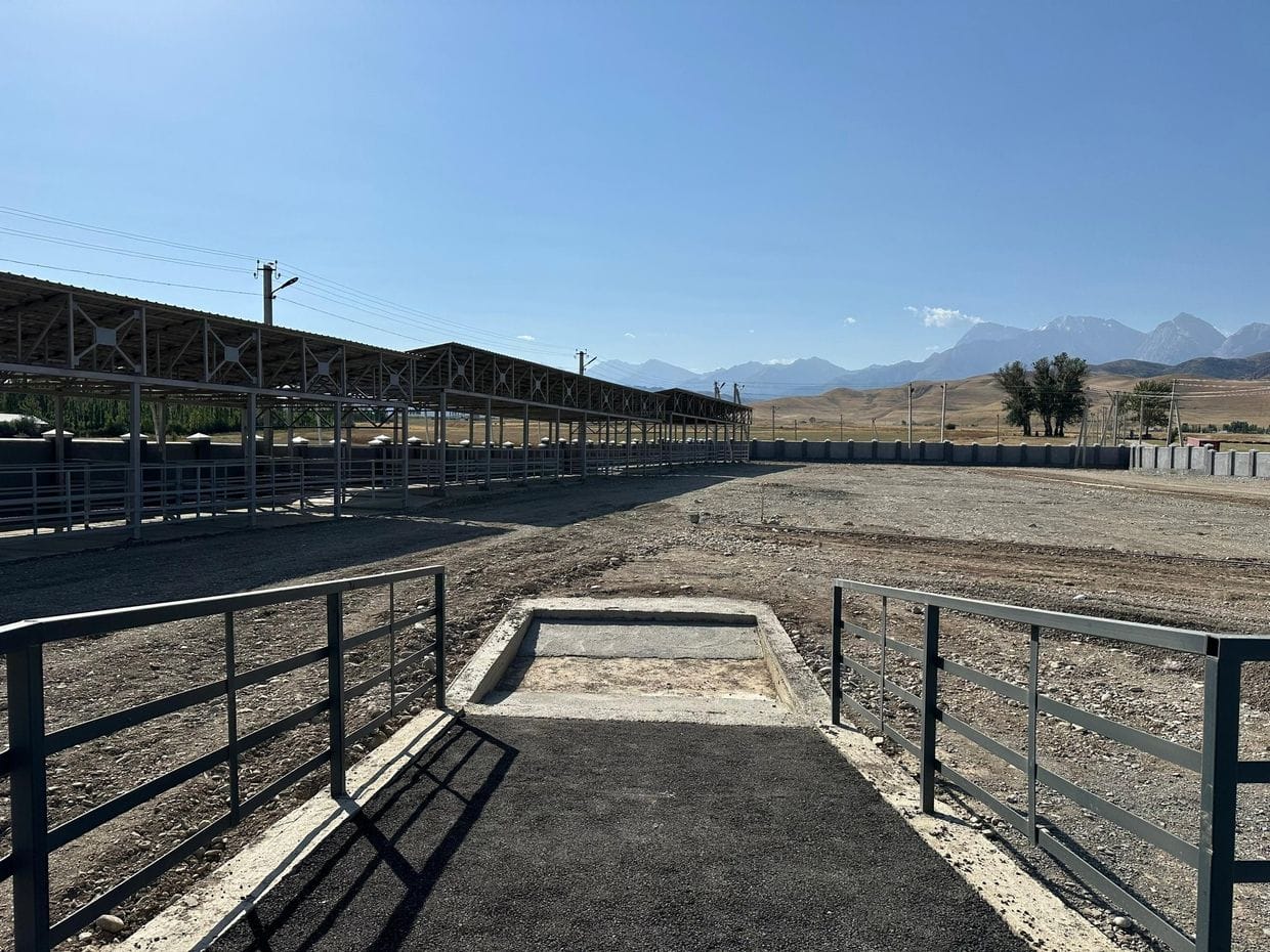 В Кыргызстане завершен первый этап модернизации скотных рынков – обновлено около 100 тысяч м² площадей