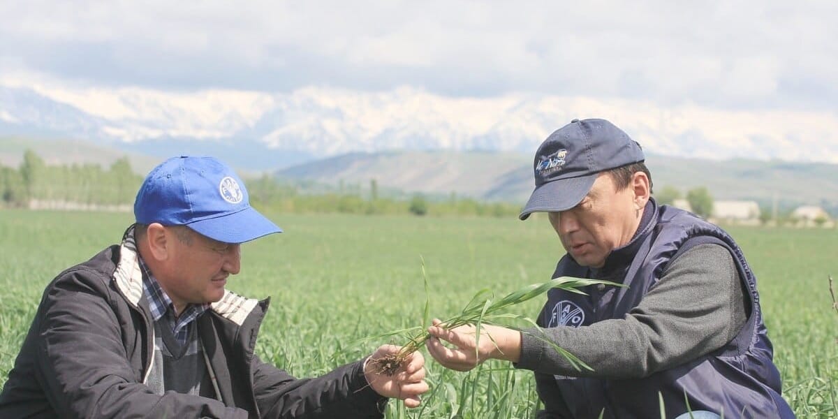 В текущем году в Кыргызстане откроют 50 сельхозкооперативов