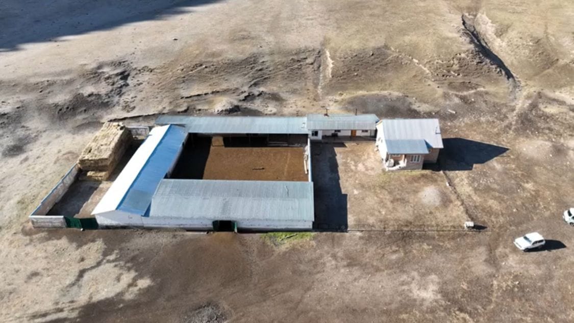 ГКНБ вернул в госсобственность земли лесного фонда стоимостью 1.2 млрд сомов