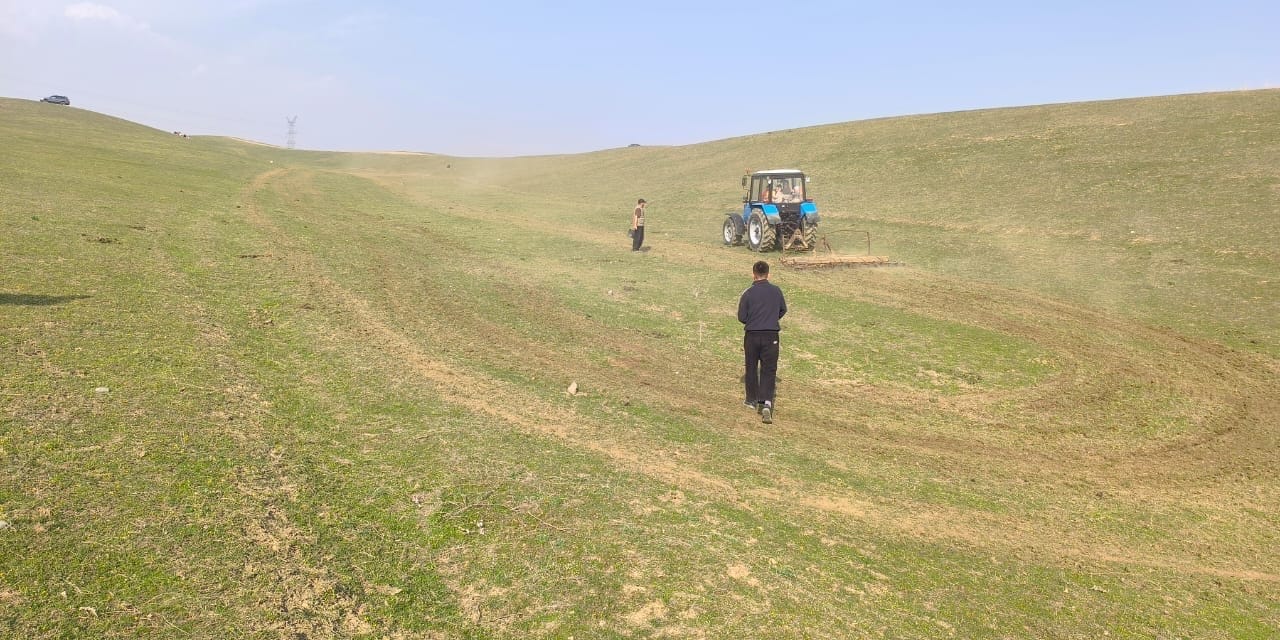 В Кыргызстане восстанавливают пастбища – засеяно более 2.8 тысячи га
