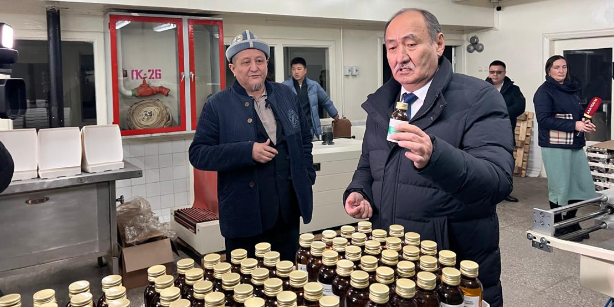 В Кыргызстане начнут выпускать ибупрофен, омепразол и еще 120 видов препаратов