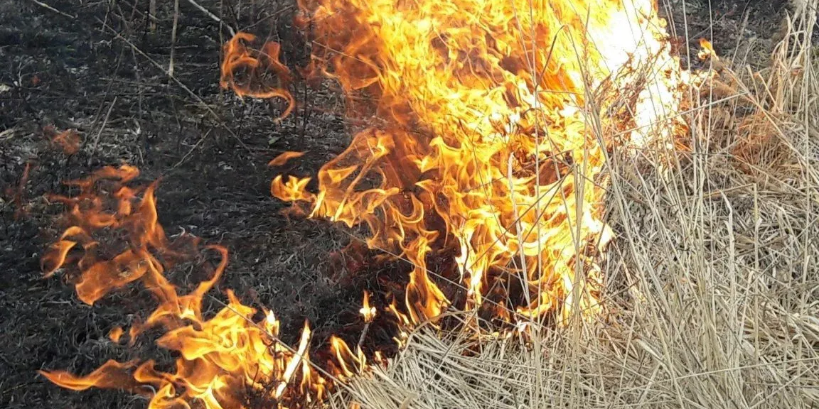 БиПЭС предупреждает об опасности поджогов вблизи ЛЭП