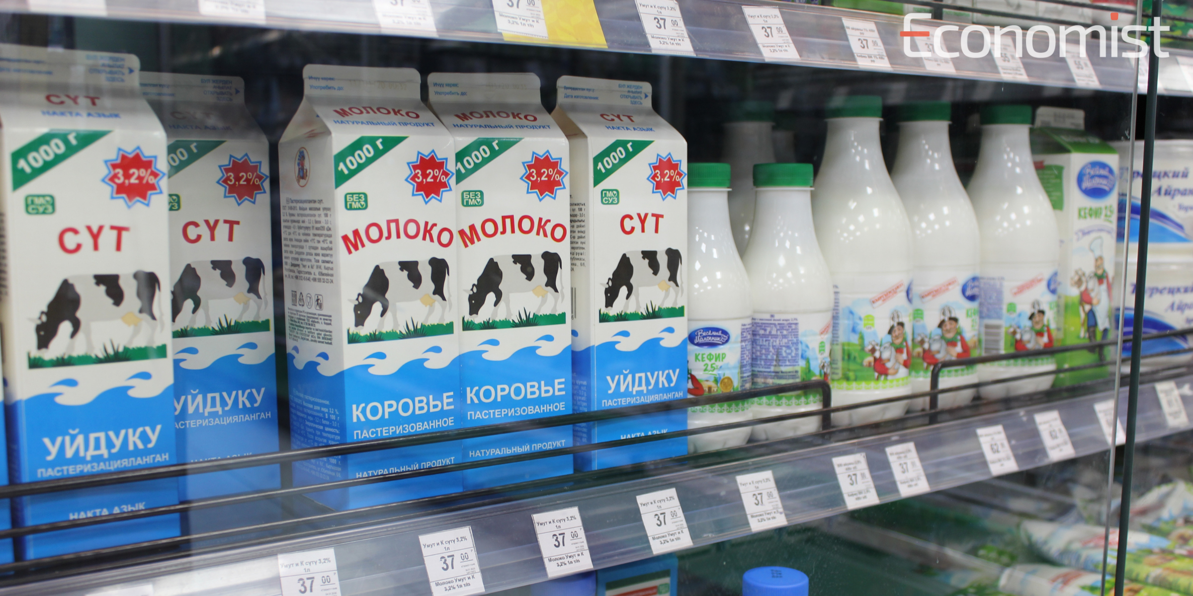 Заводы КР обязаны закупать молоко у фермеров по установленным тарифам