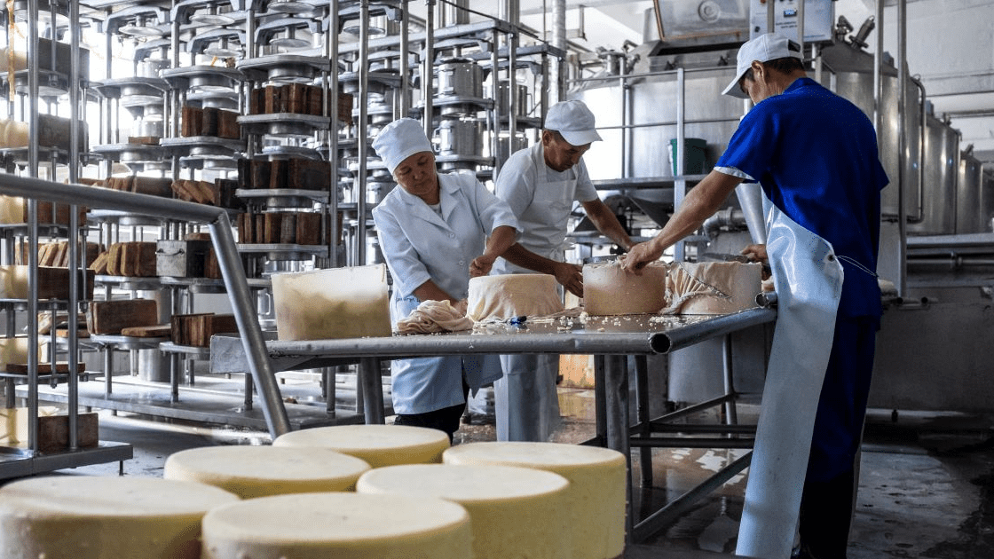 С начала года в КР трудоустроили свыше 4 тысяч безработных граждан