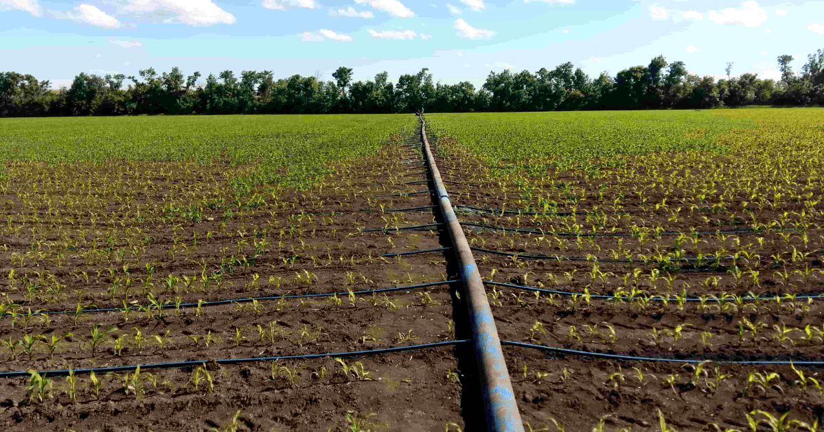Орошаемые земли в Кара-Жыгаче отдали под ИЖС — вмешался Минстрой