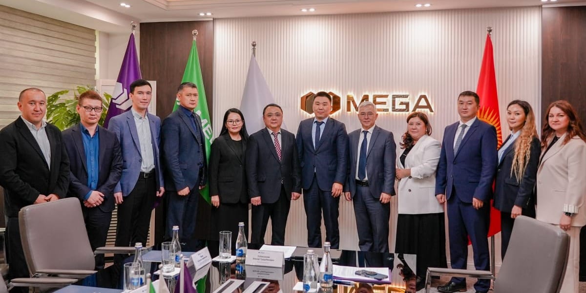 Рекордный год для MEGA: трансформация в действии