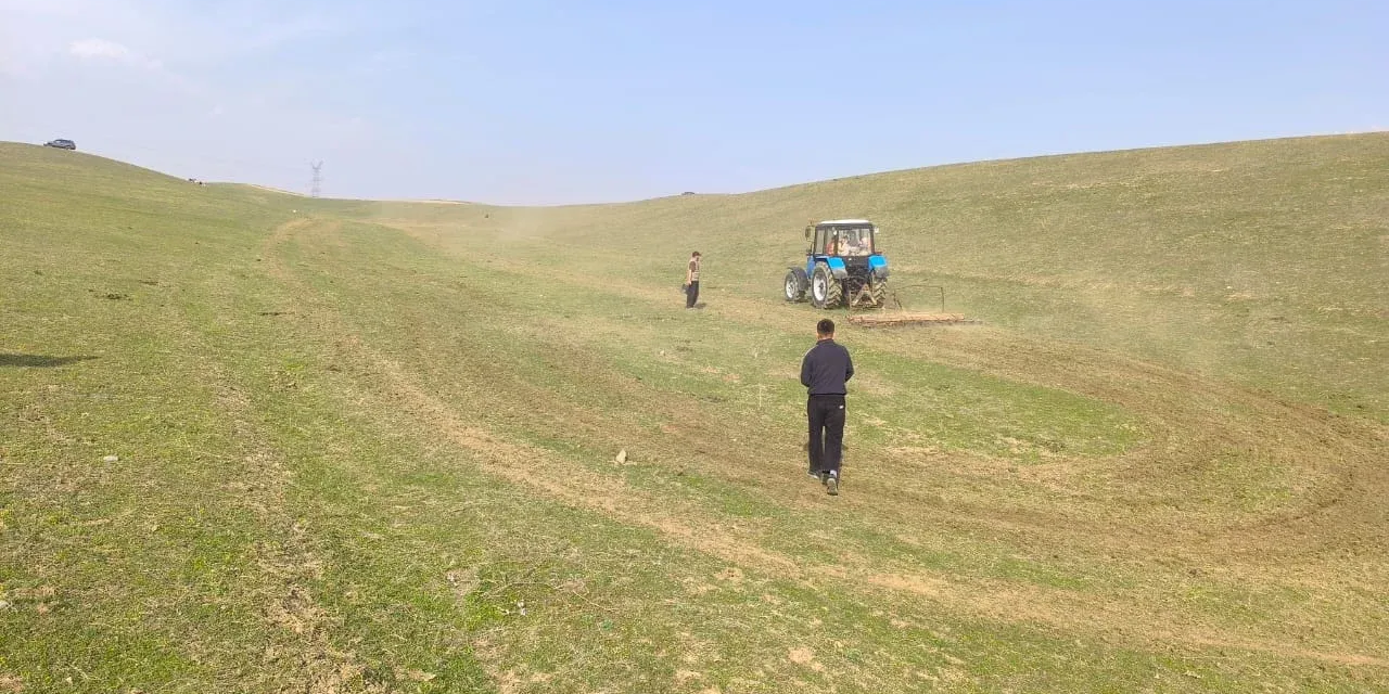 В Кыргызстане травами засеяно более 6 тысяч га – для восстановления пастбищ