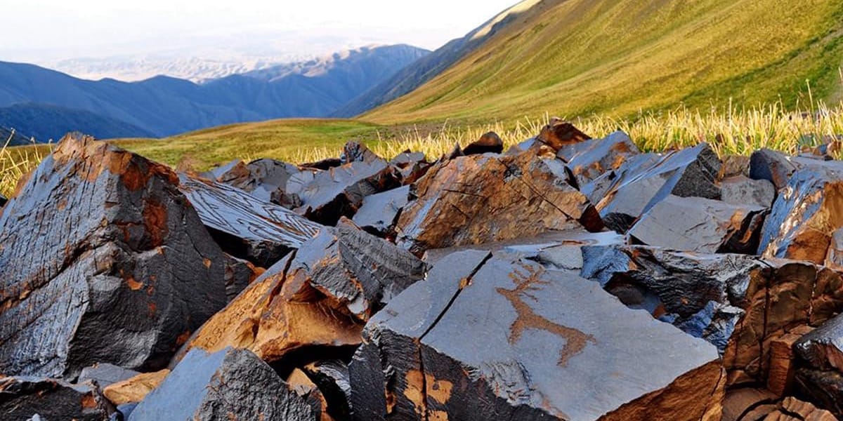 Шесть участков земли в парке «Саймалуу-Таш» выставлены на аукцион — как их арендовать?