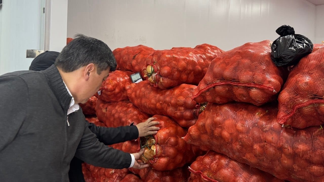 В Кадамжае открыт логистический центр на 500 тонн овощей и фруктов