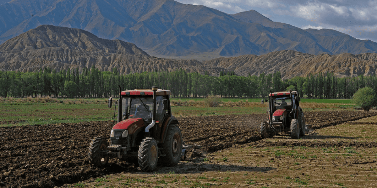 Полевые работы в КР охватили 156 тысяч га – аграрии увеличили посевы пшеницы, ячменя и картофеля